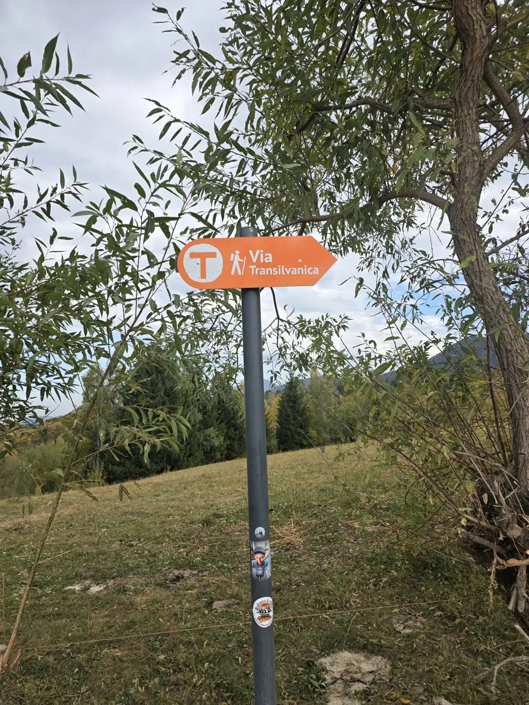 Indicator Via Transilvanica lângă Casa Calea Haiducilor, Sohodol